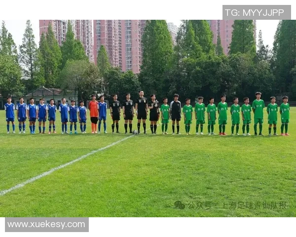 上海足球队灵活战术解析与球队发展新趋势探讨