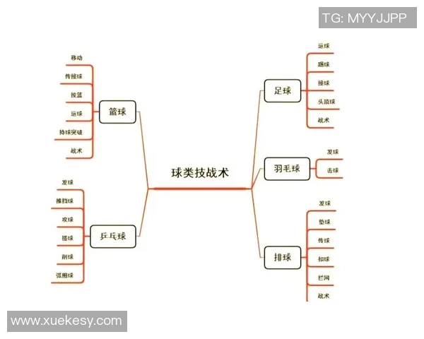 南京排球队整体压制体系的战术分析与实践探讨
