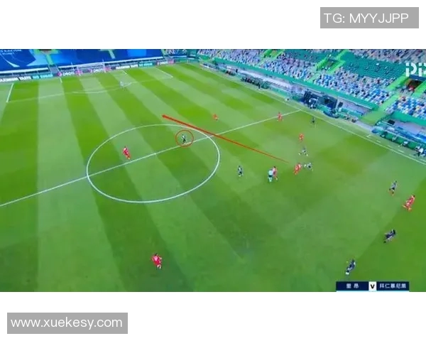 广州篮球队防反战术解析与赛季表现深度剖析