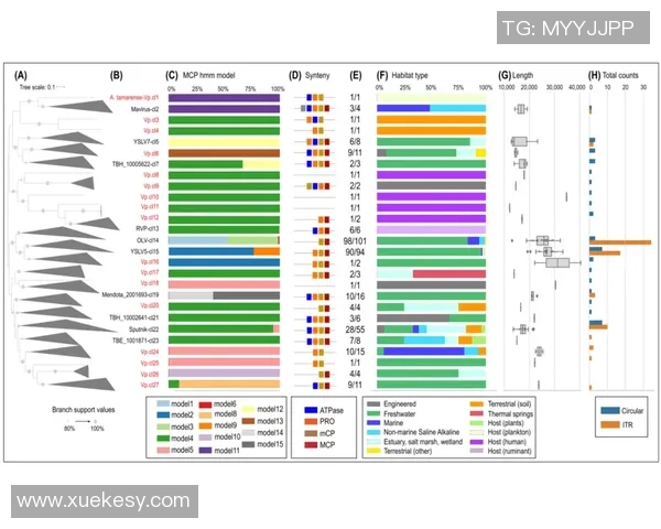 数据分析揭示BLG团队意识表现的深度与影响力探讨 数据分析揭示BLG团队意识表现的深度与影响力探讨