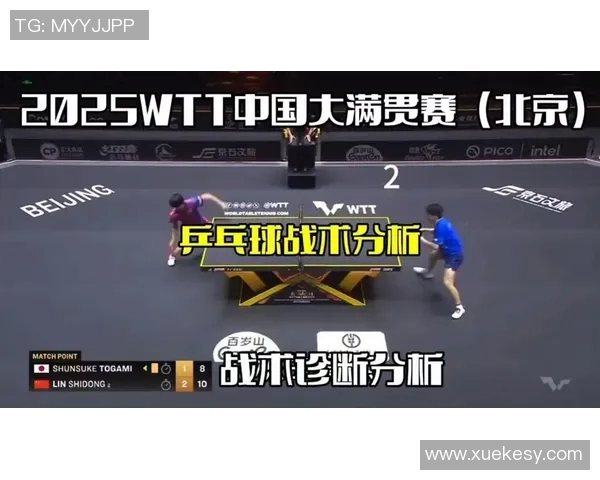 南京乒乓球队在锦标赛中的默契配合与战术执行分析