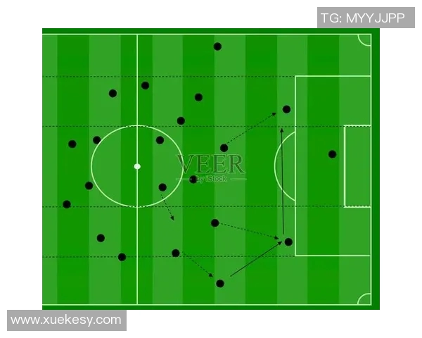 南京足球队快攻战术解析：深度剖析球队如何在比赛中迅速反击