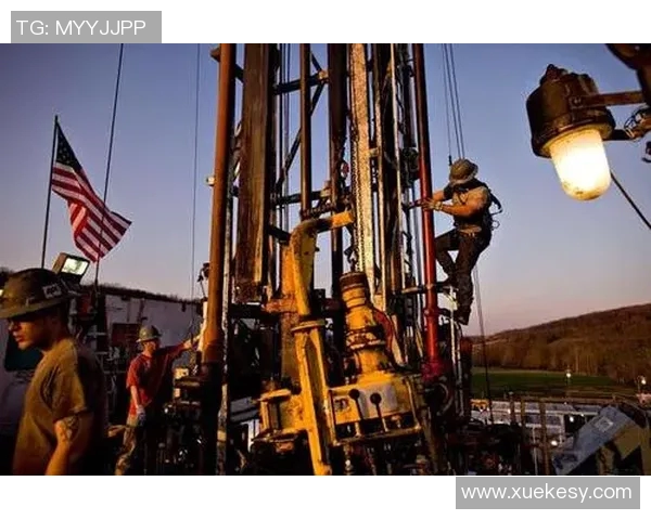 数据分析视角下LNG战术表现的深度解读与未来展望