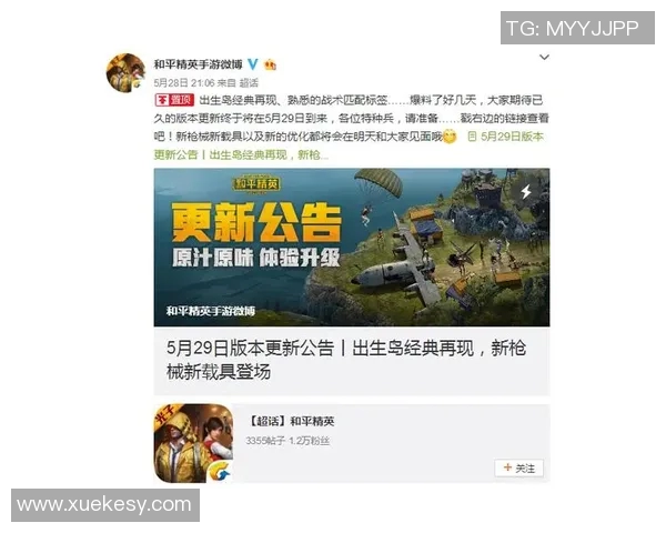 聚焦和平精英V5的力量与未来发展潜力探讨