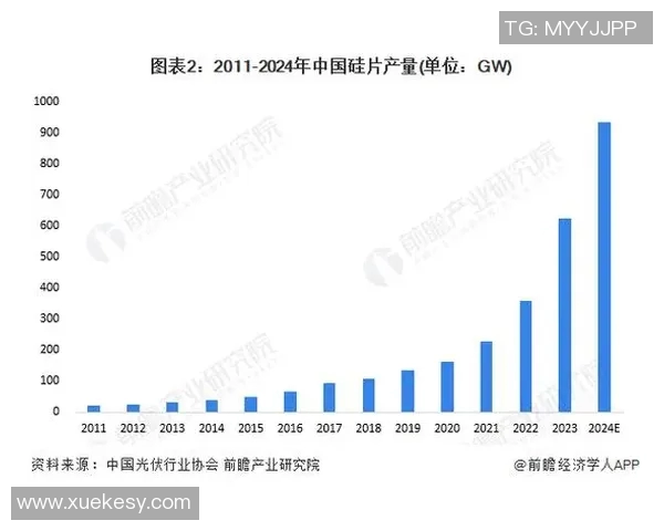 八一双鹿电池在国际市场的崛起与美国竞争的全景分析