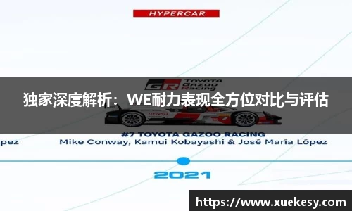 独家深度解析：WE耐力表现全方位对比与评估
