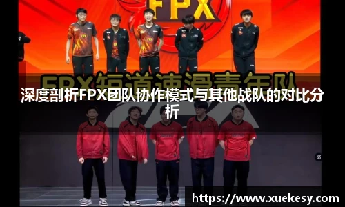 深度剖析FPX团队协作模式与其他战队的对比分析